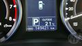 Lazy Owl Image
