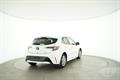 Lazy Owl Image